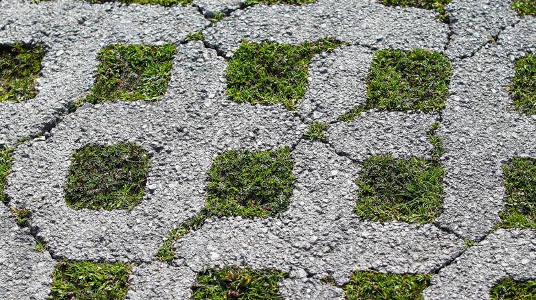 Permeable pavers with grass growing through.