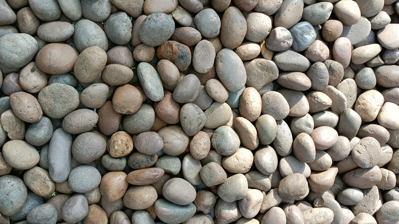 Close up of river rock gravel