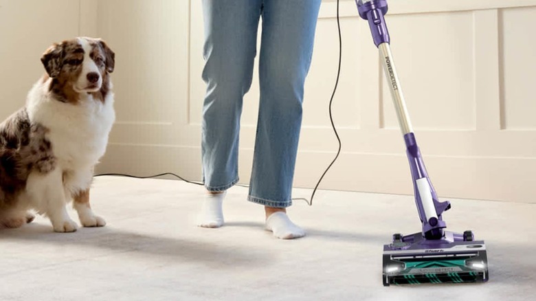 Person using Shark PowerDetect HZ4002 on carpet with dog in background