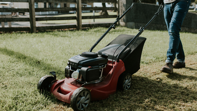 man pushing red lawn mower