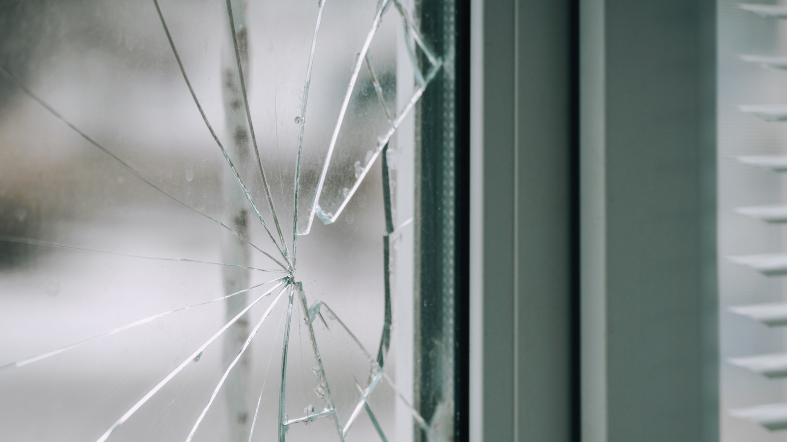 Broken Window? Here's What You Need To Do Next