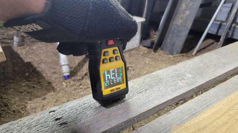 Testing moisture of pallet wood, which was roughly the same as the pine above the vapor barrier