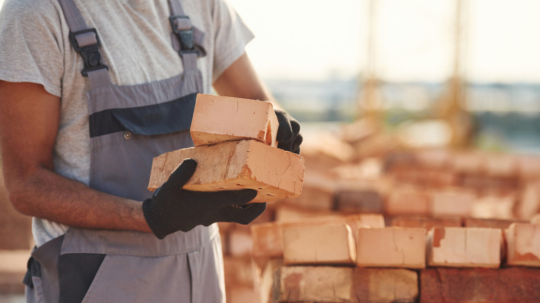 A person holding bricks in their hands