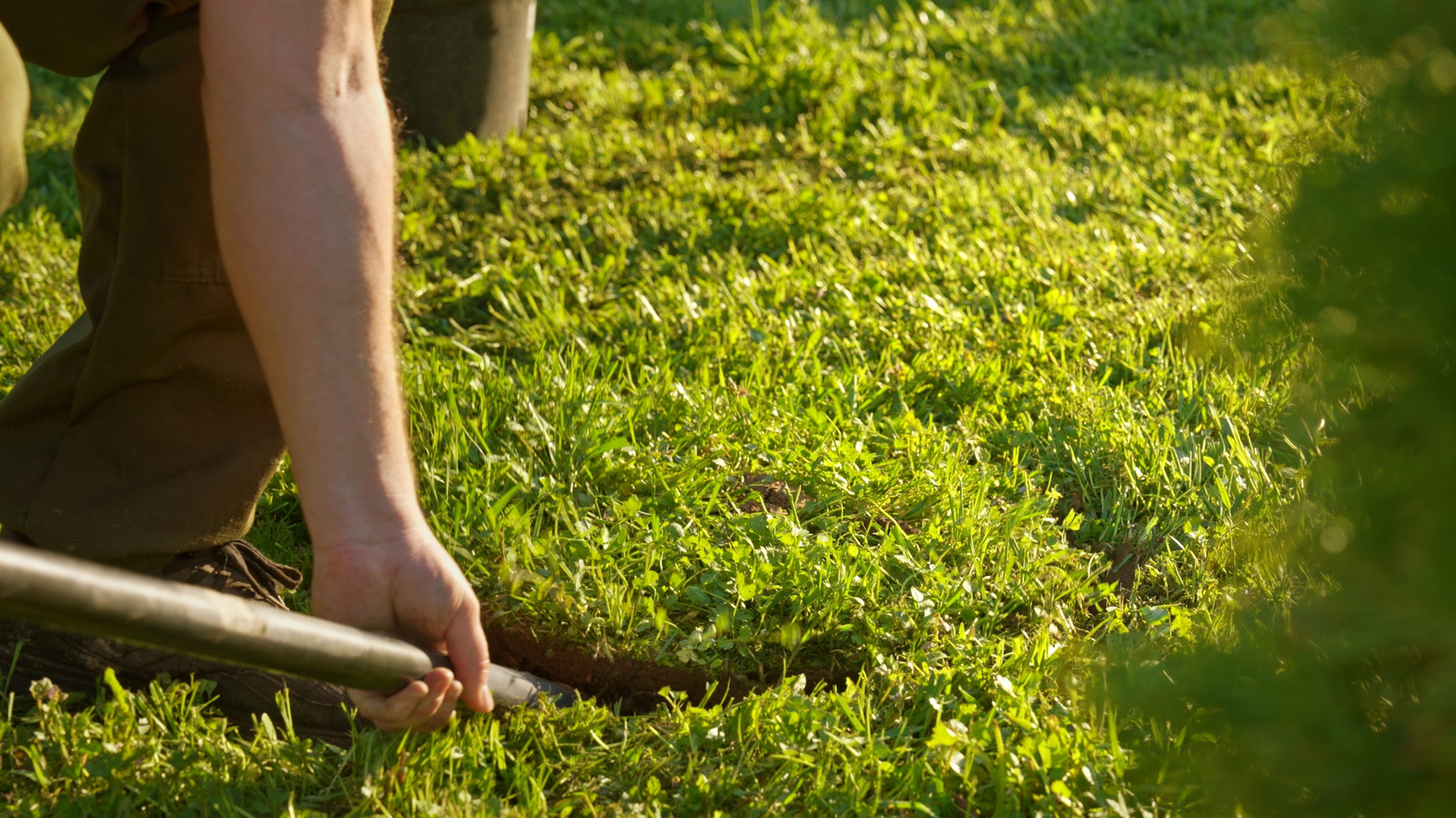 Can I Use A Shovel To Aerate My Lawn?