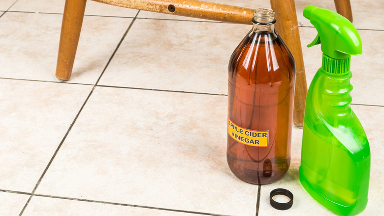 A bottle of apple cider vinegar and a spray bottle on the floor
