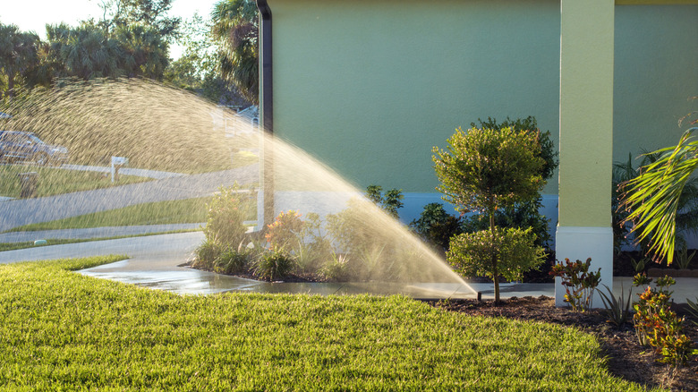 An automatic sprinkler waters a lush green lawn.