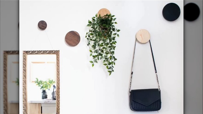 an interior hallway with lids as decorative hooks for hanging purses and plants