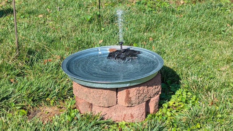 Homemade birdbath made of concrete blocks and a trash can lid