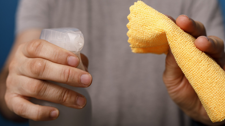 Hands holding a spray bottle and cloth