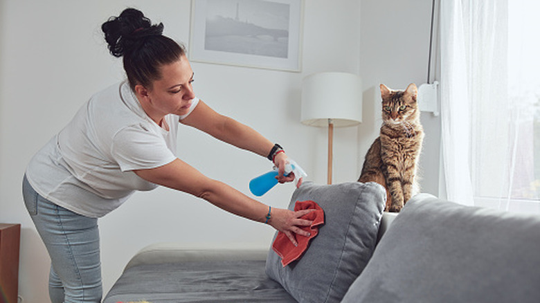 A woman cleaning a sofa cushion with a cat watching from on top of a gray sofa.