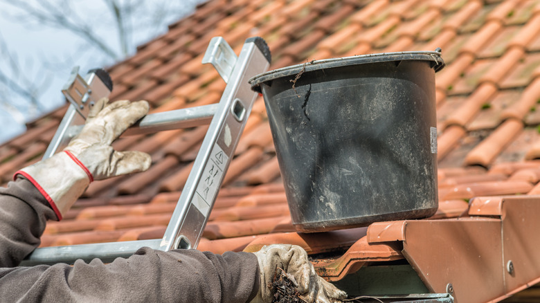 Man on a ladder cleaning gutters