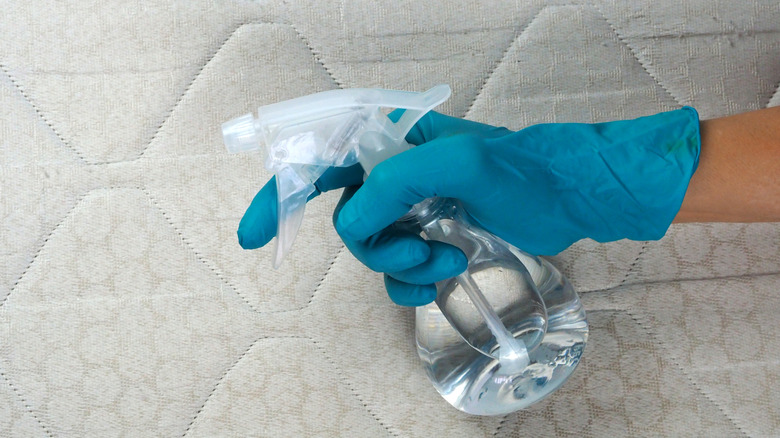 Person wearing gloves spraying a stained mattress with a solution