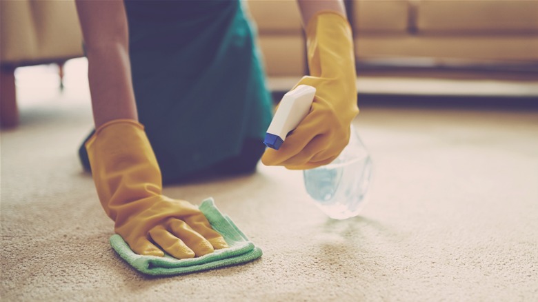 Person on knees using cleaning spray to blot carpet stains