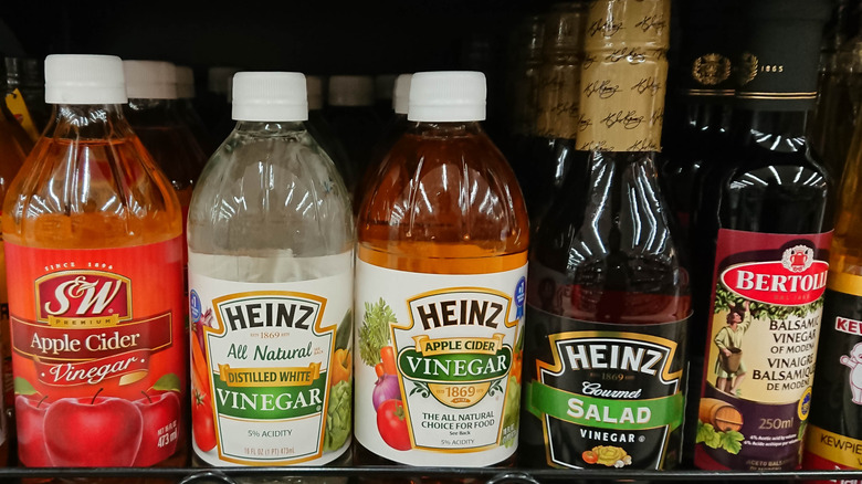 A row of vinegar bottles on a shelf