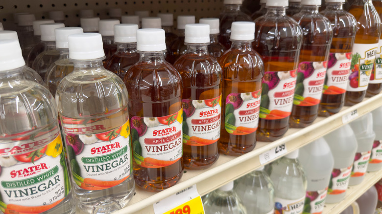 Bottles of vinegar