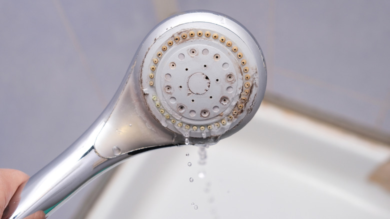 Calcium buildup on a shower head