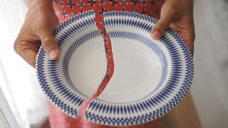 Person holding broken blue and white plate.