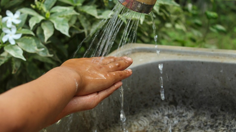 Person washing hands in outdoor sink