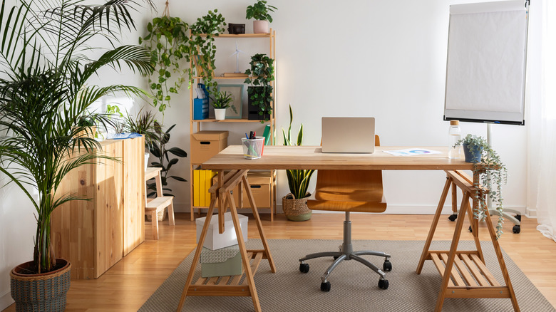 Simple desk in white room with shelving and plants
