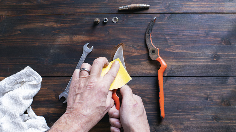 Hand cleaning a slightly rusty pair of garden shears