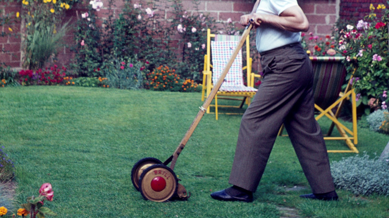 A man pushes a rotary lawnmower in a backyard