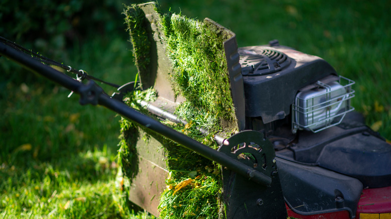 Wet grass clipping stuck to a lawn mower