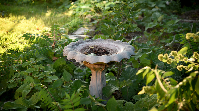 An empty old birdbath