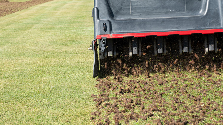 Plugs of soil are removed from a lawn using a motorized core aerator