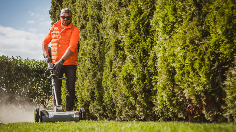 A man uses an aerator on a lawn near a row of evergreen trees