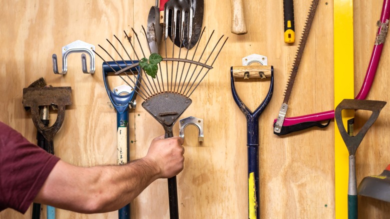 Man reaching for rake in old storage shed holding lawn equipment