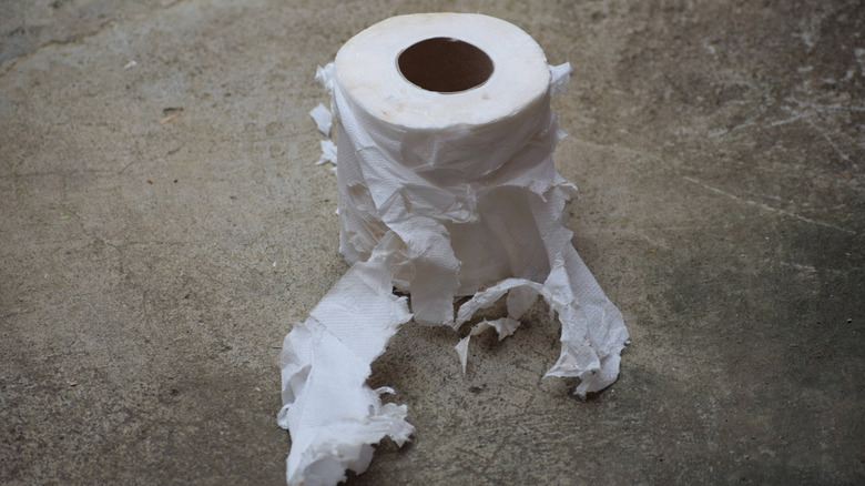 Shredded toilet paper roll sitting outside on a concrete surface