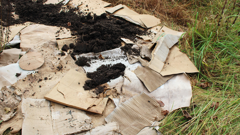 Pile of cardboard on soil