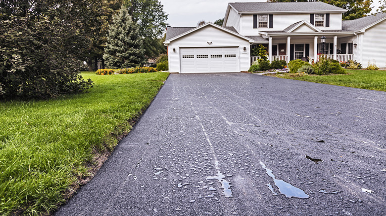 An asphalt driveway with puddles leading to a suburban home.