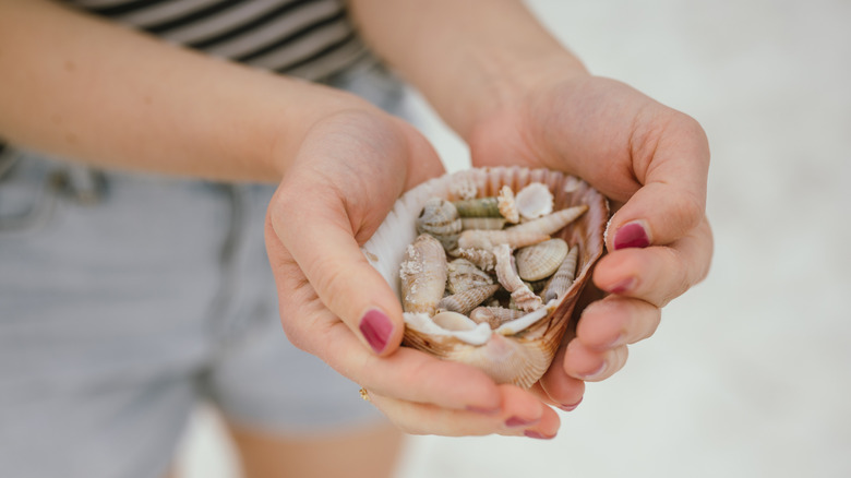 Woman holding seashells in her hands