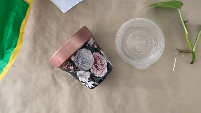 Terracotta pot covered in fabric with a gold trim next to a plant cutting