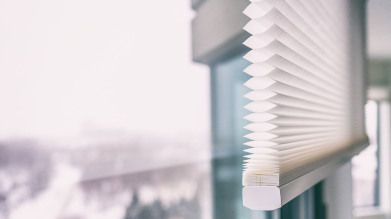 pleated cellular blinds in window