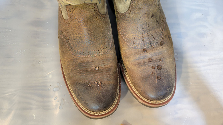 Different water droplet behavior on treated and untreated boot