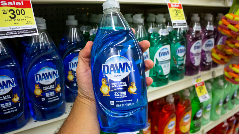 Person holding Dawn dish soap in a store