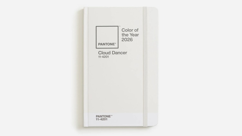 Pantone's 2026 Color of the Year, Cloud Dancer notebook