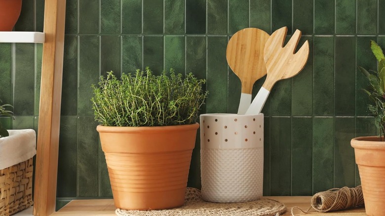 Dark green Zellige-look peel-and-stick tiles installed on a kitchen backsplash