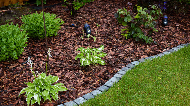A garden covered in mulch with a border of stone pavers next to a green, grassy lawn