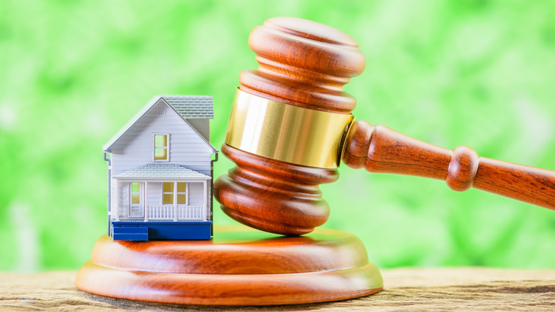 image of a tiny home and a judge's gavel