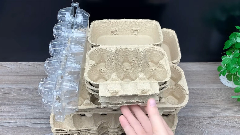 Person reaching for egg cartons