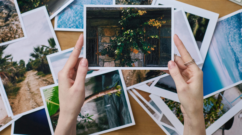 Person looking through photos at a desk