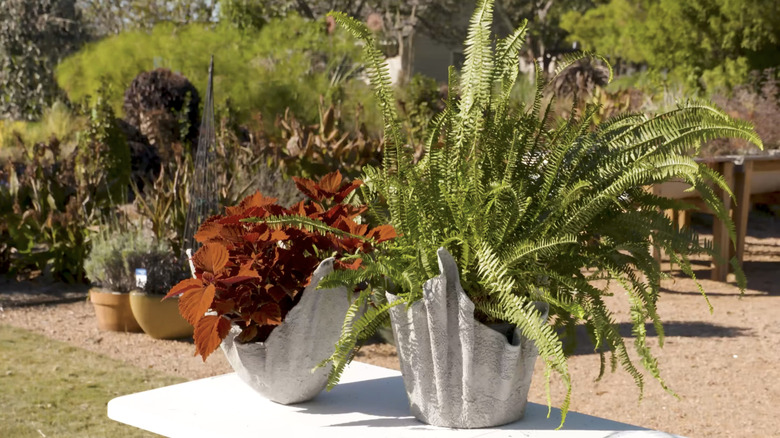 DIY concrete towel planters