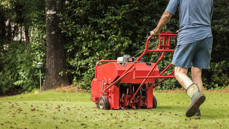 Gas powered lawn aerator