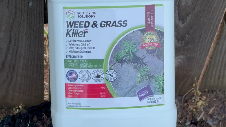 Closeup of ECO Garden Pro on the ground