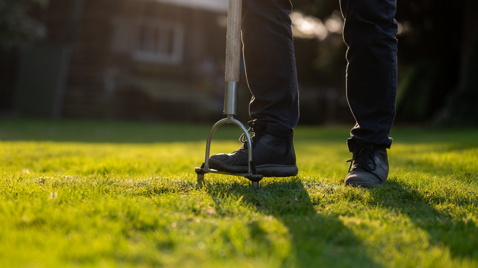 Ditch Manual Aerators: The Electric Tractor Supply Find To Consider