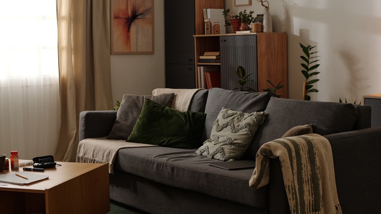 Living room with a gray couch