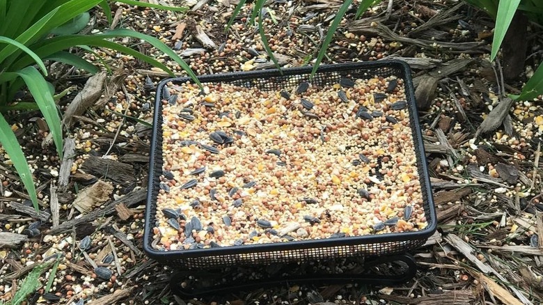 Aelean Ground Bird Feeder Tray in black metallic mesh